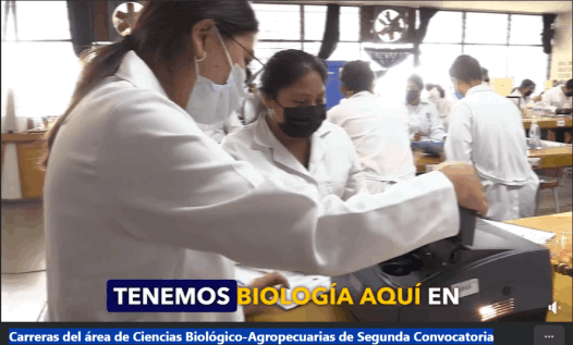 Segunda Convocatoria - Area de Ciencias Biológico-Agropecuarias UMSNH